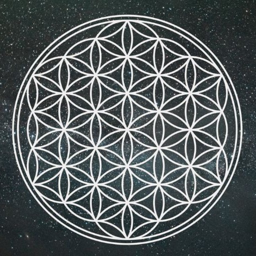 die blume des lebens quadrat schwarz adobestock 163746345 compressed